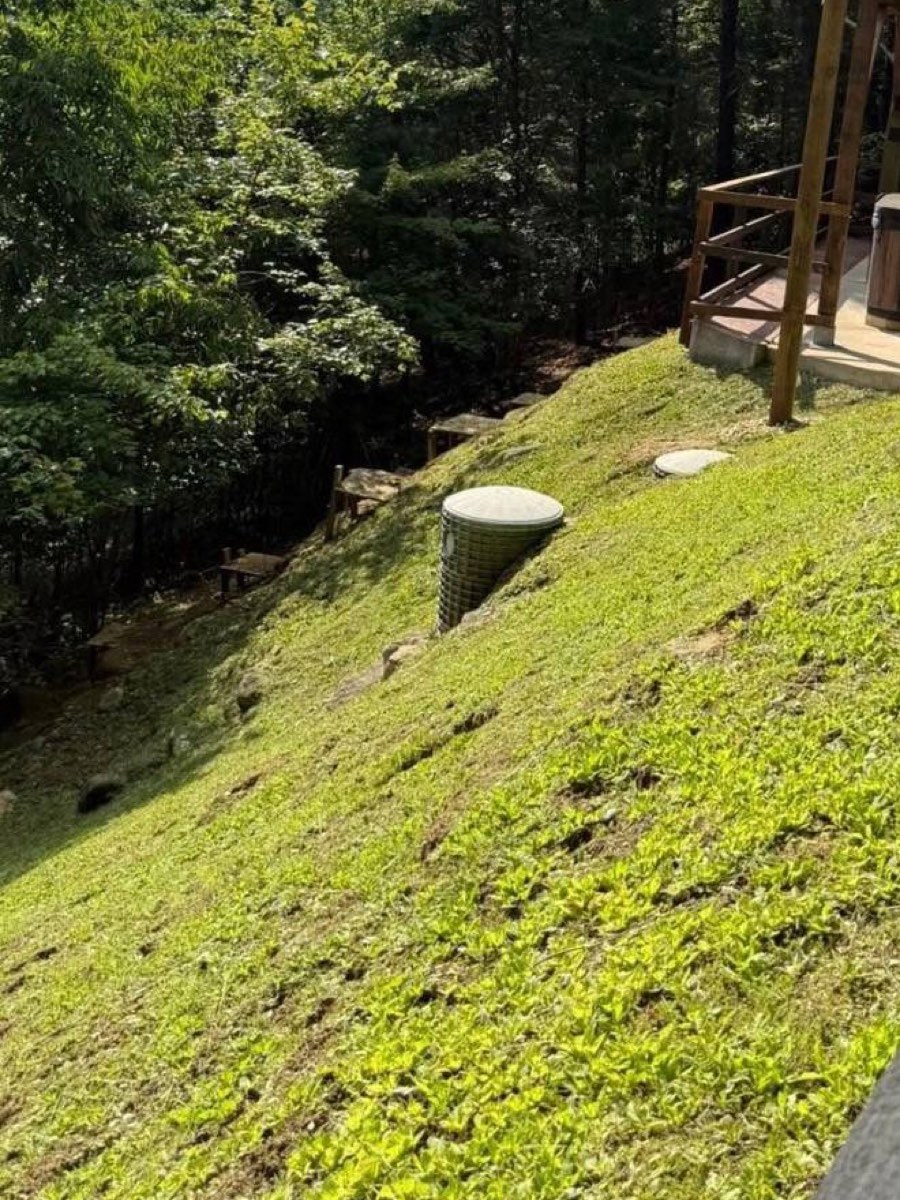 After: hillside yard mowed clean around the house