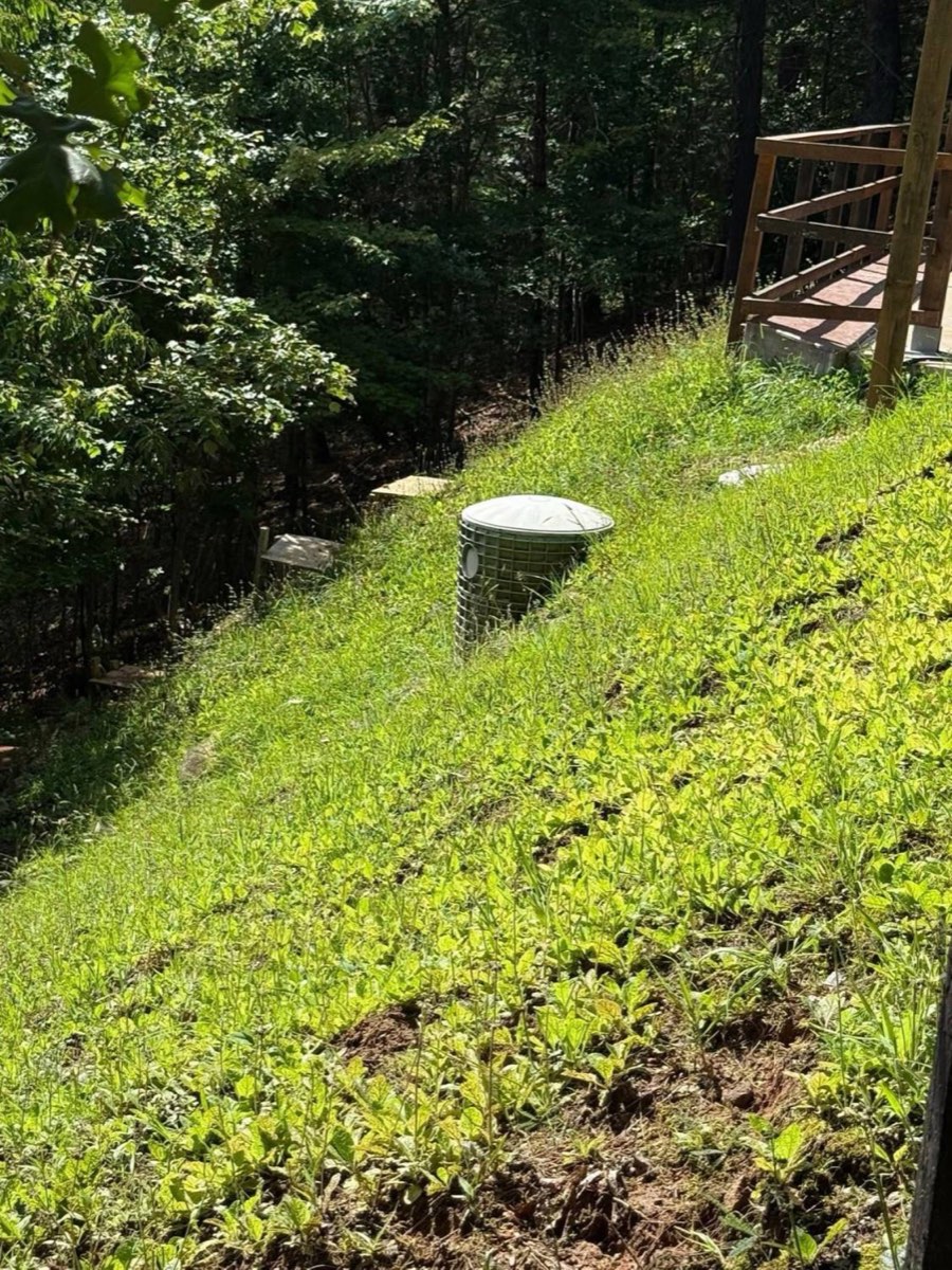 Before: shaggy, weedy hillside yard