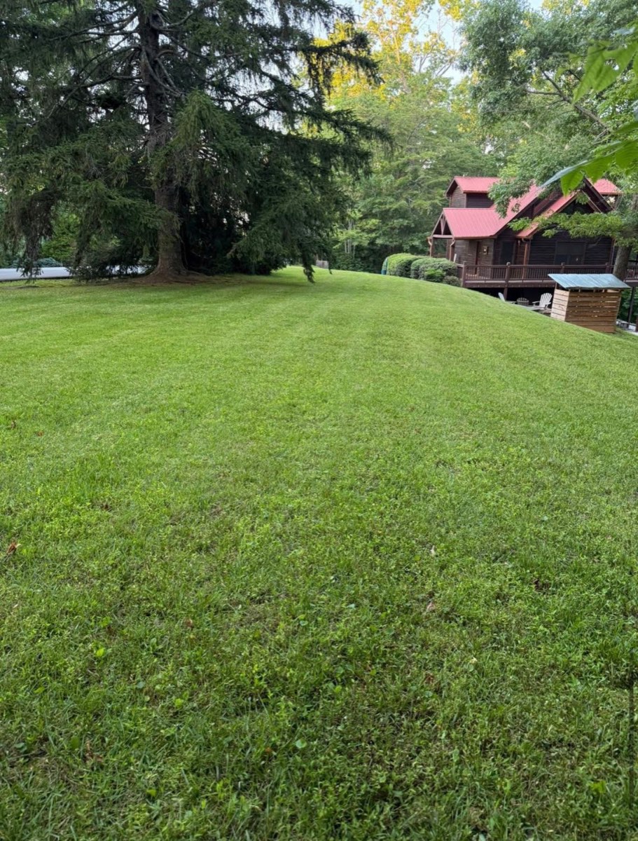 Freshly striped lawn mowed by CLB