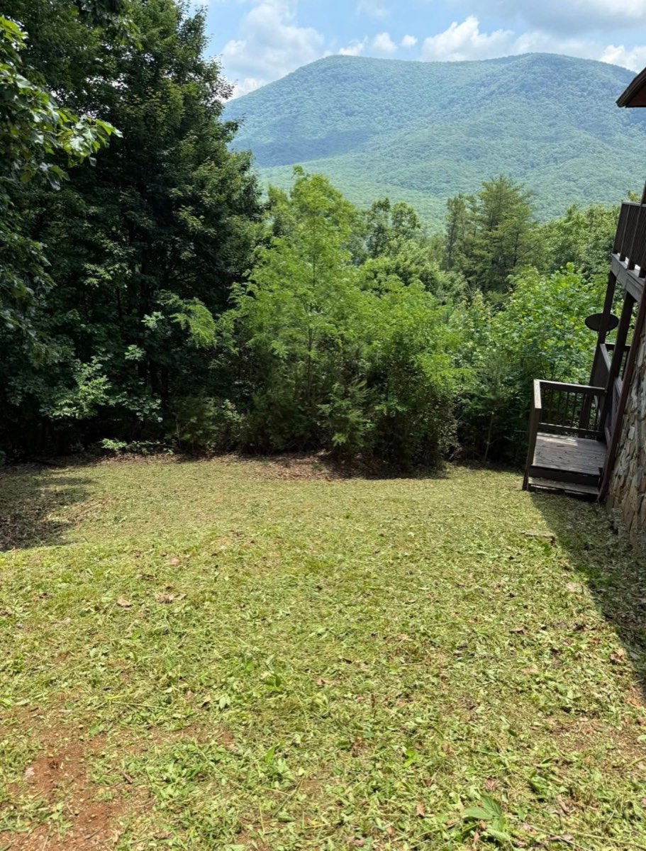 After: mowed side yard with a clear mountain view